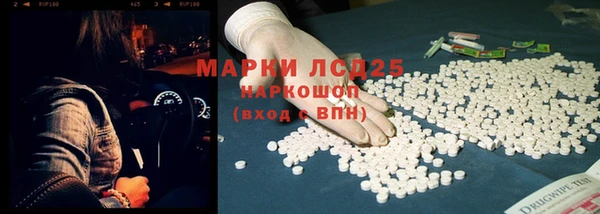 spice Карпинск