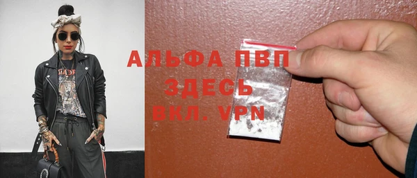 spice Карпинск