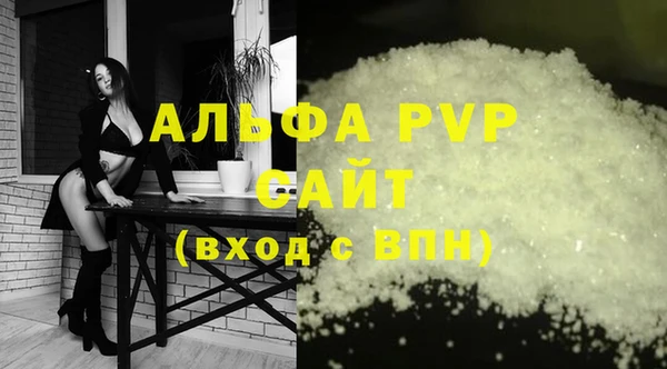spice Карпинск