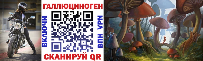 Купить закладки  Гороховец  Галлюциногенные грибы Psilocybe 